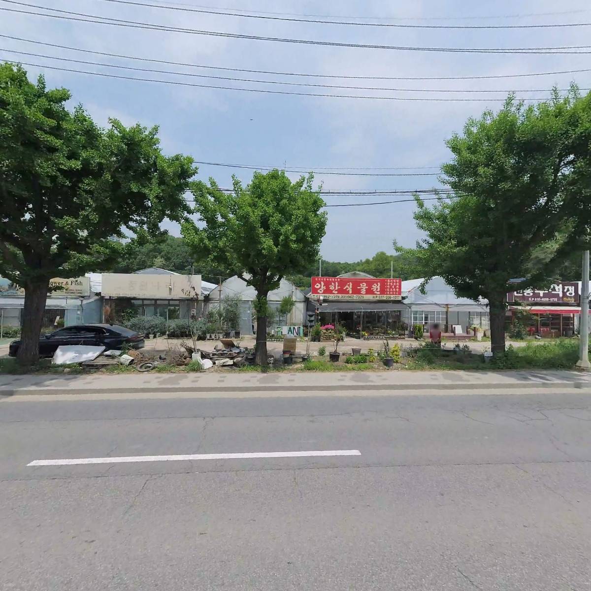 아침향기_3