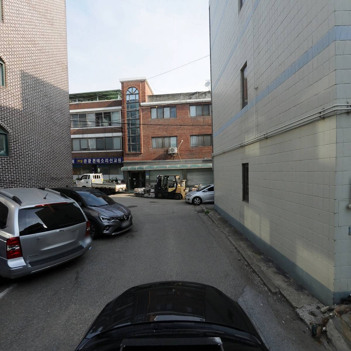 도노 파충류샵_4