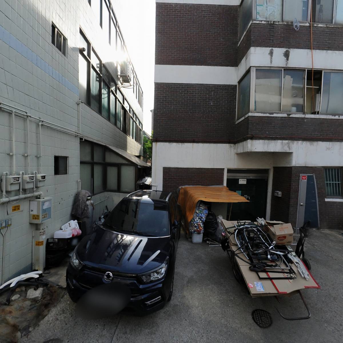 도노 파충류샵