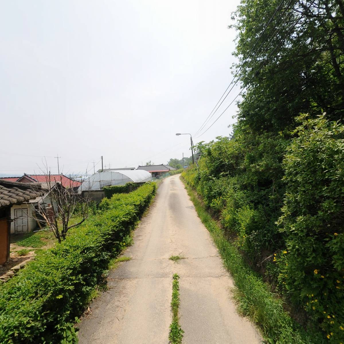 주식회사 키센스 (QiSens)_2