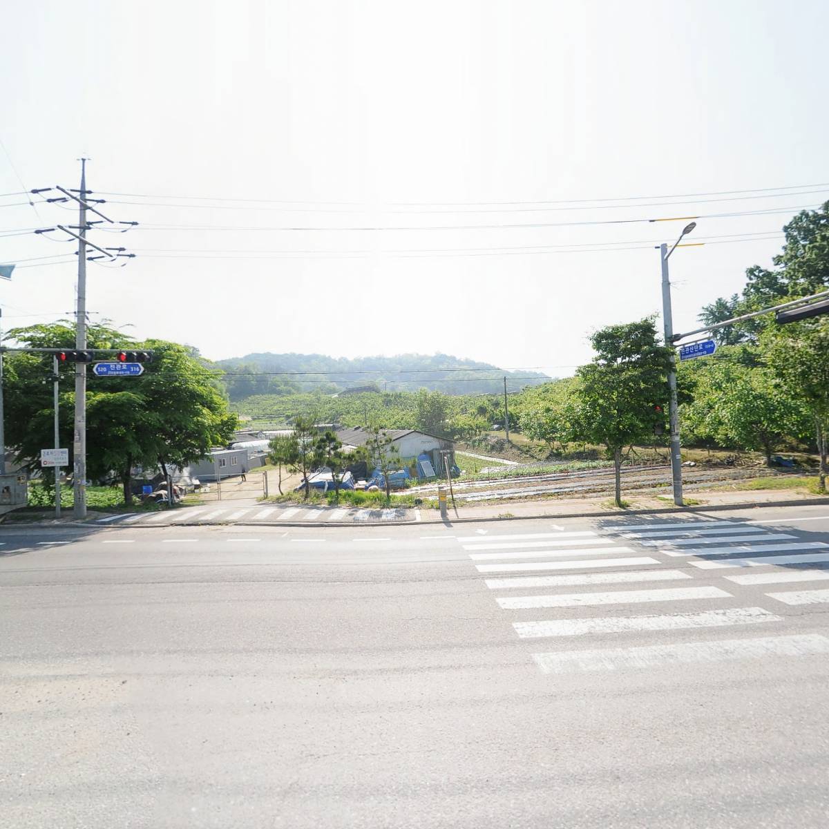 매그놀리아_3