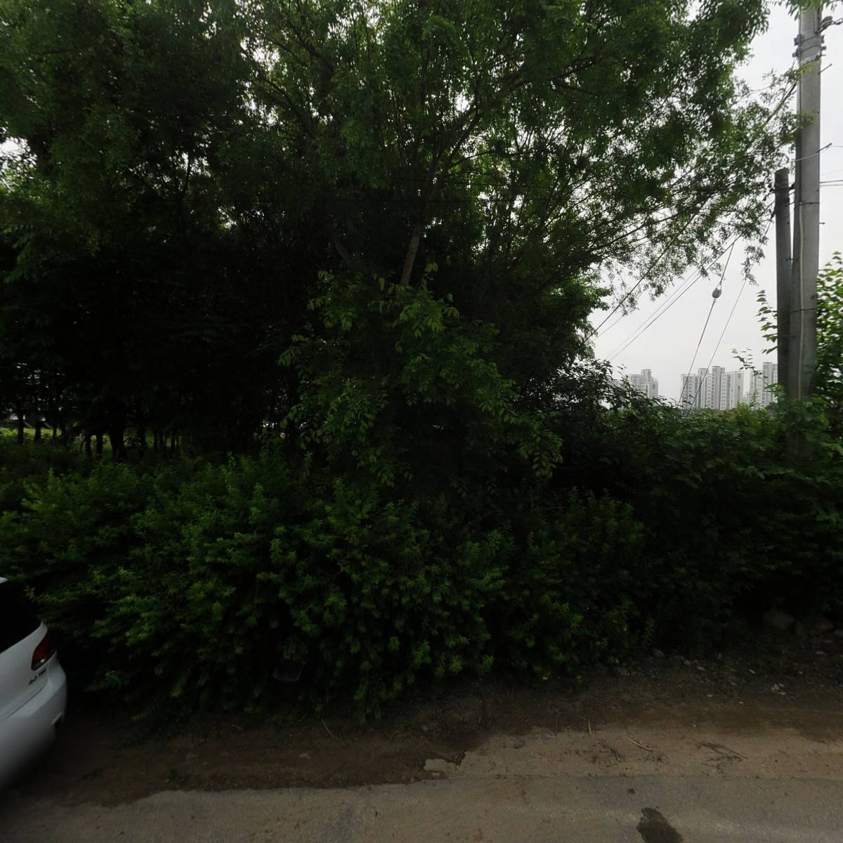 쎄시봉수상스키용품