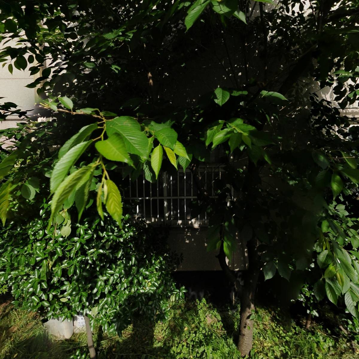 양지 시니어 홈
