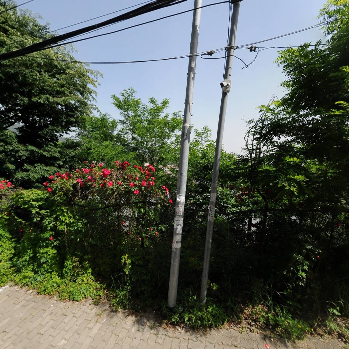 다산전통국악예술단