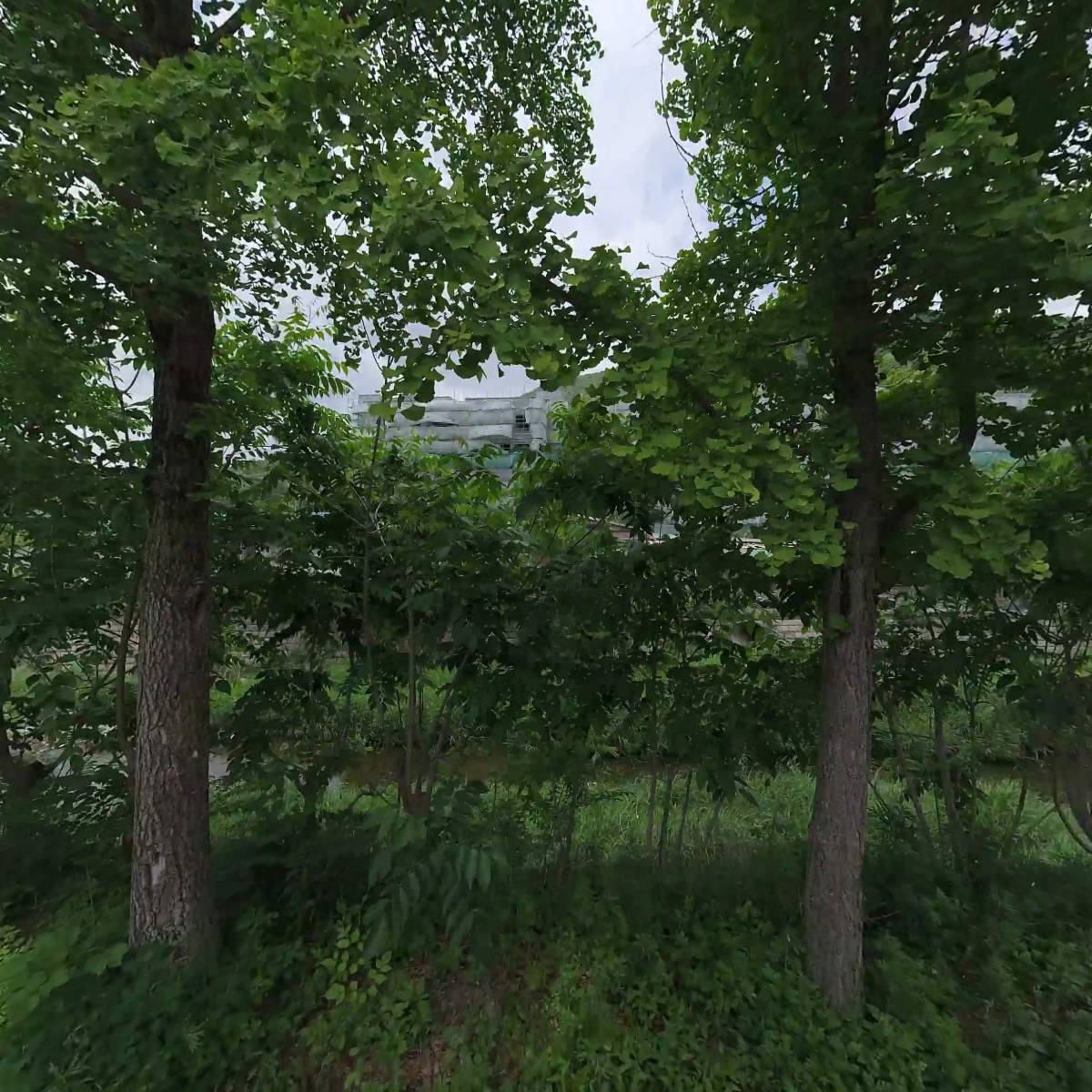 제이리버_3