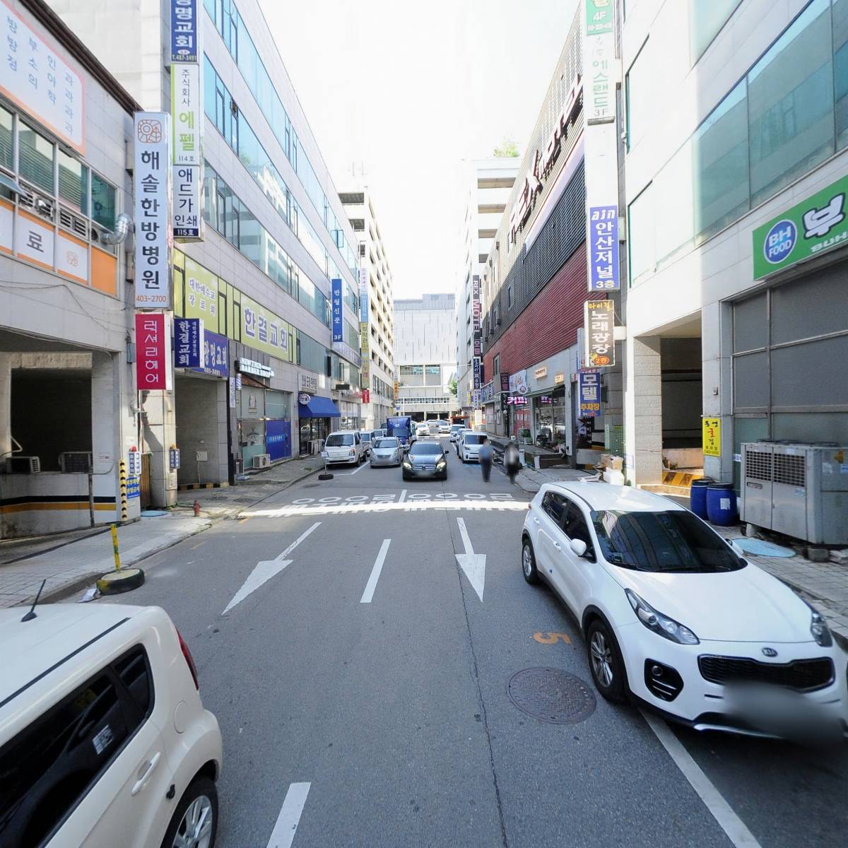 러버블펫 강아지 안산본점_2
