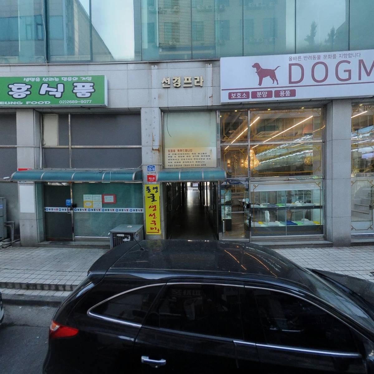 러버블펫 강아지 안산본점_3