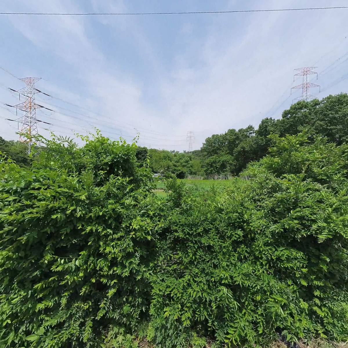 씨알의 소리_3