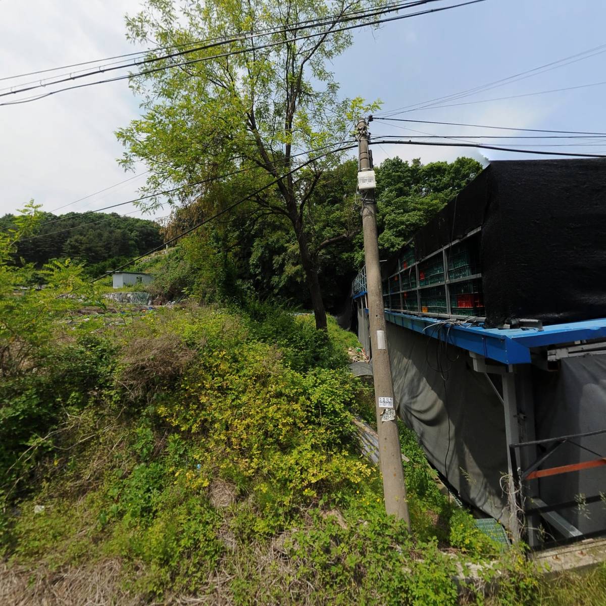 에이피아이 주식회사