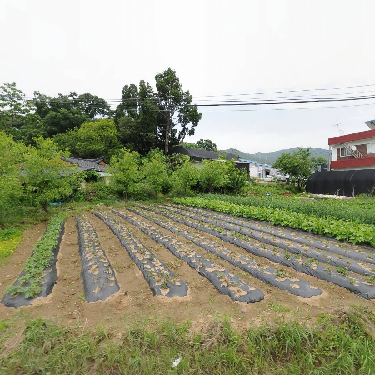 농업회사법인 푸드지안 주식회사