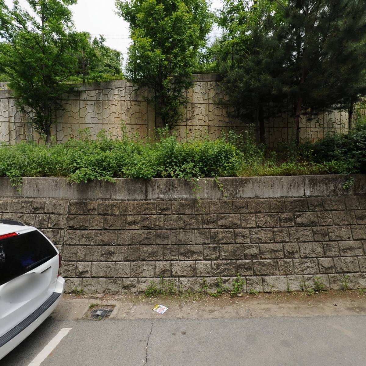 느루삼육오