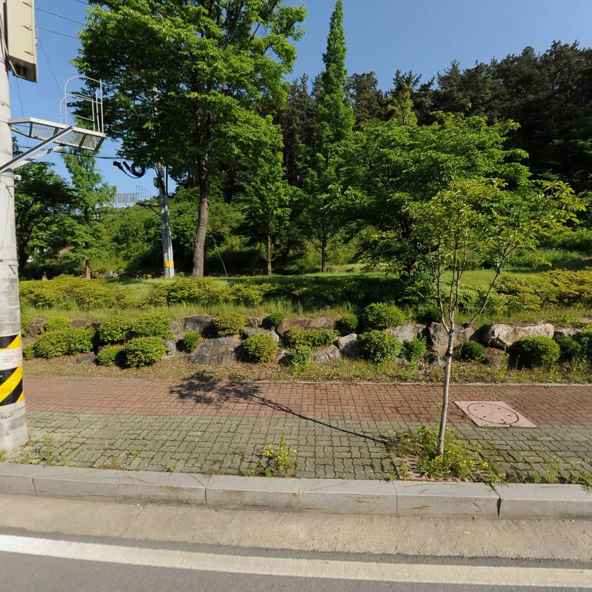 골든볼9(nine)