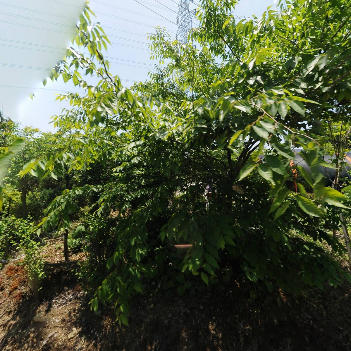 주식회사 봉천
