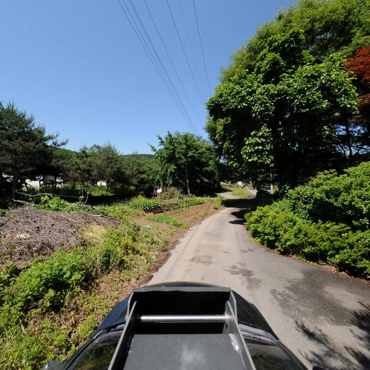 주식회사 바이담_4