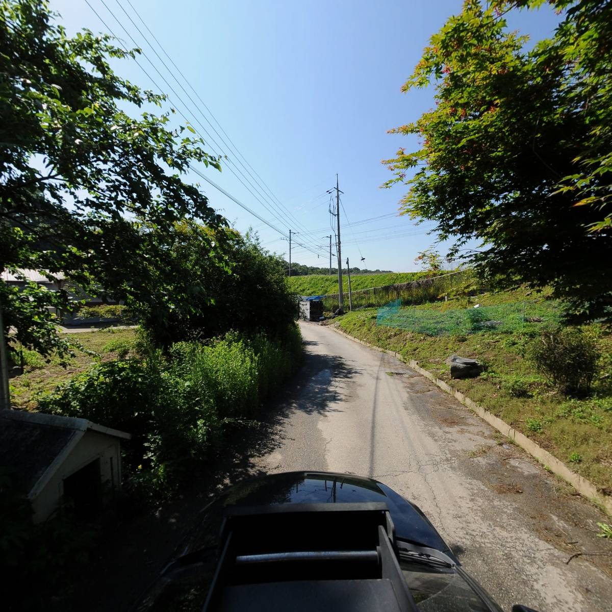 배양산업_4