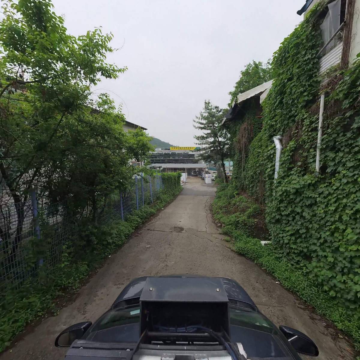 이미자닭한마리_4