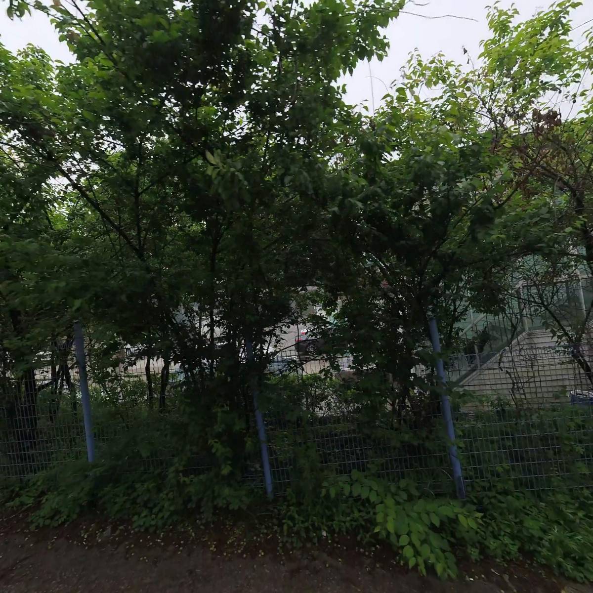이미자닭한마리_3