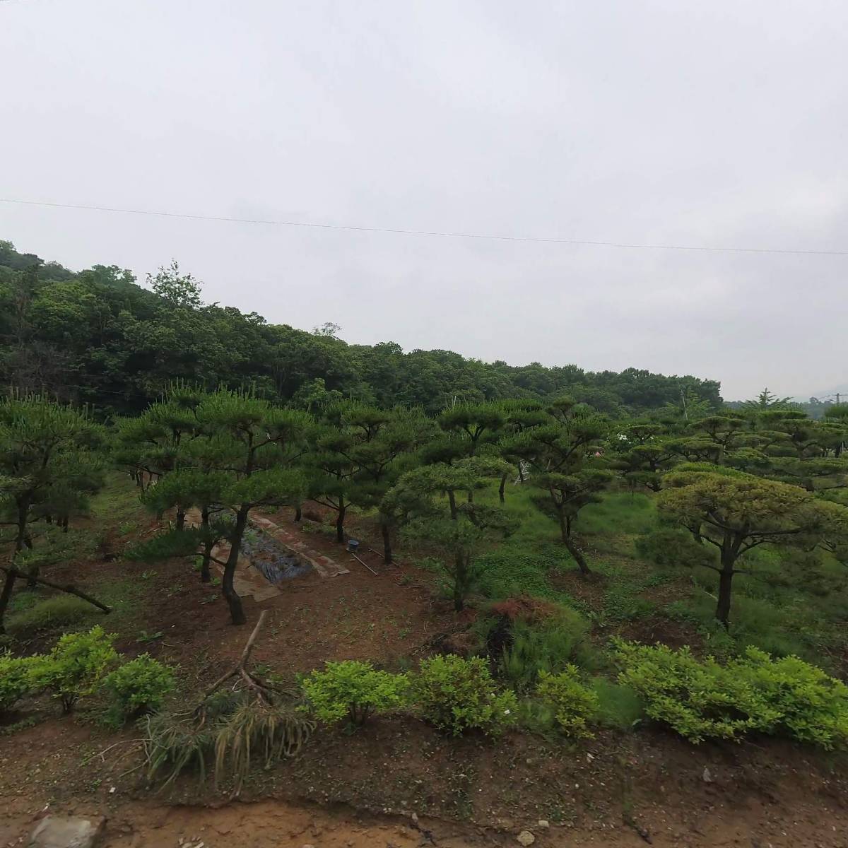 에스에취트레이딩(주)_3