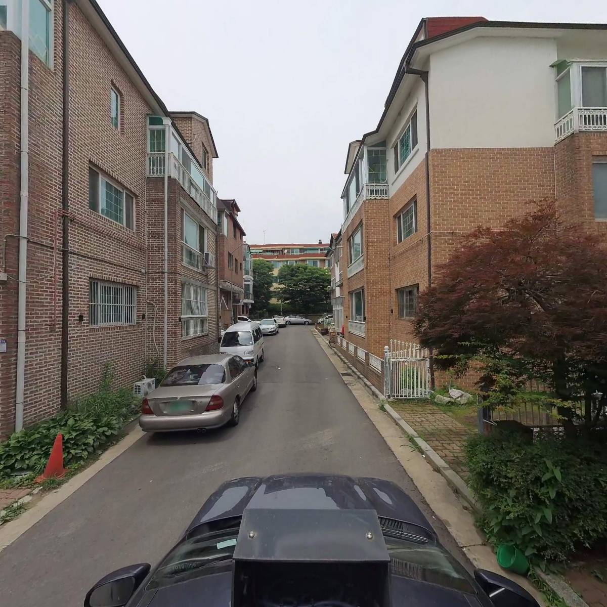 펄리버튼_4