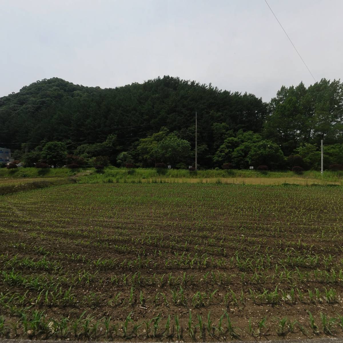 주식회사비엔피우드텍