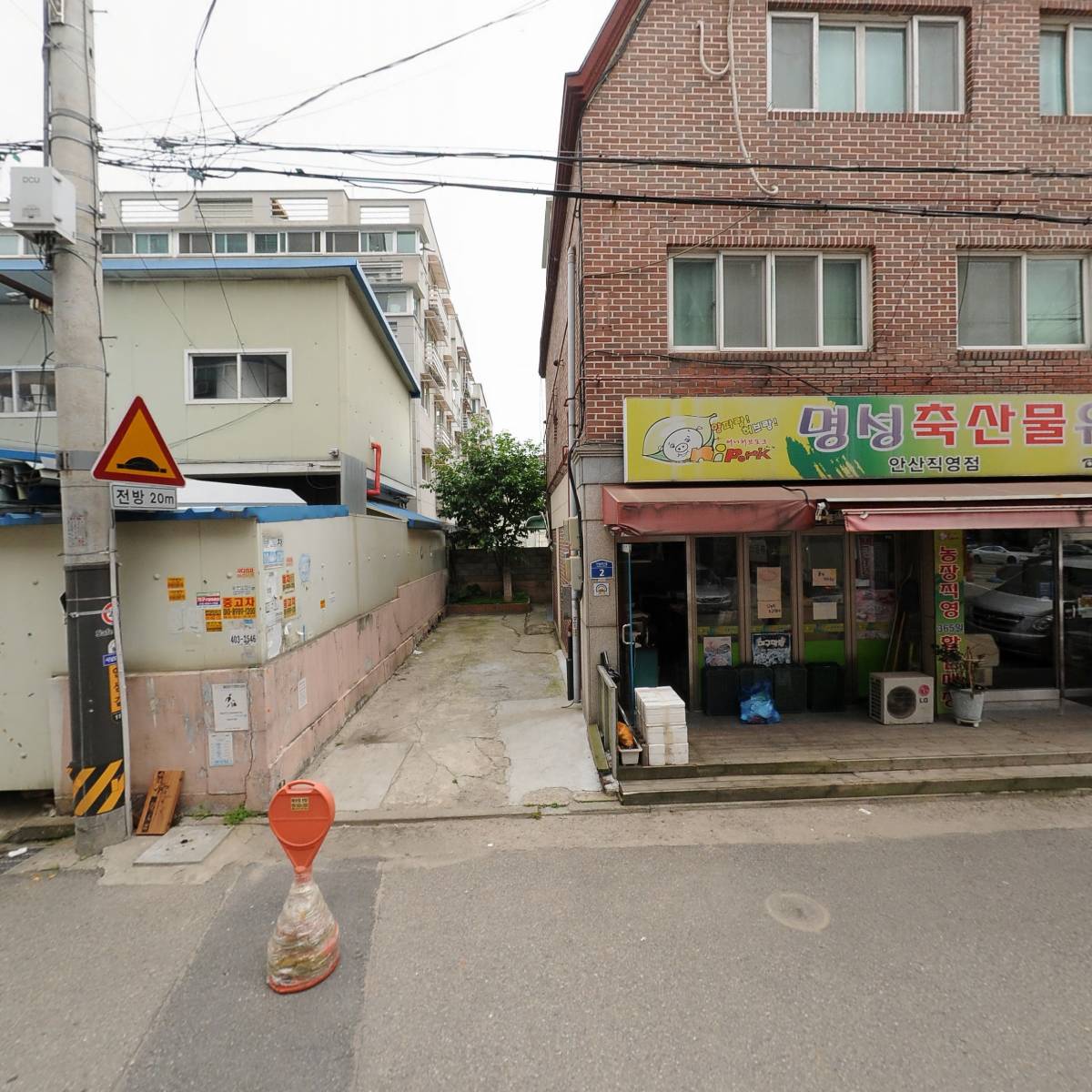 샤크로플_3