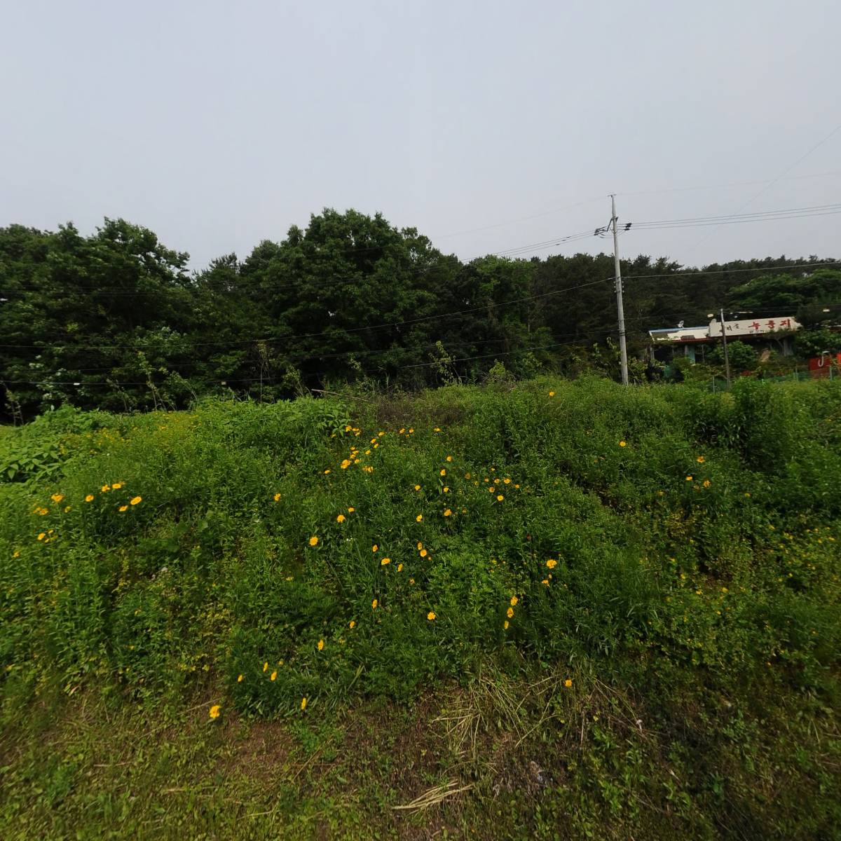 용천씽크_3