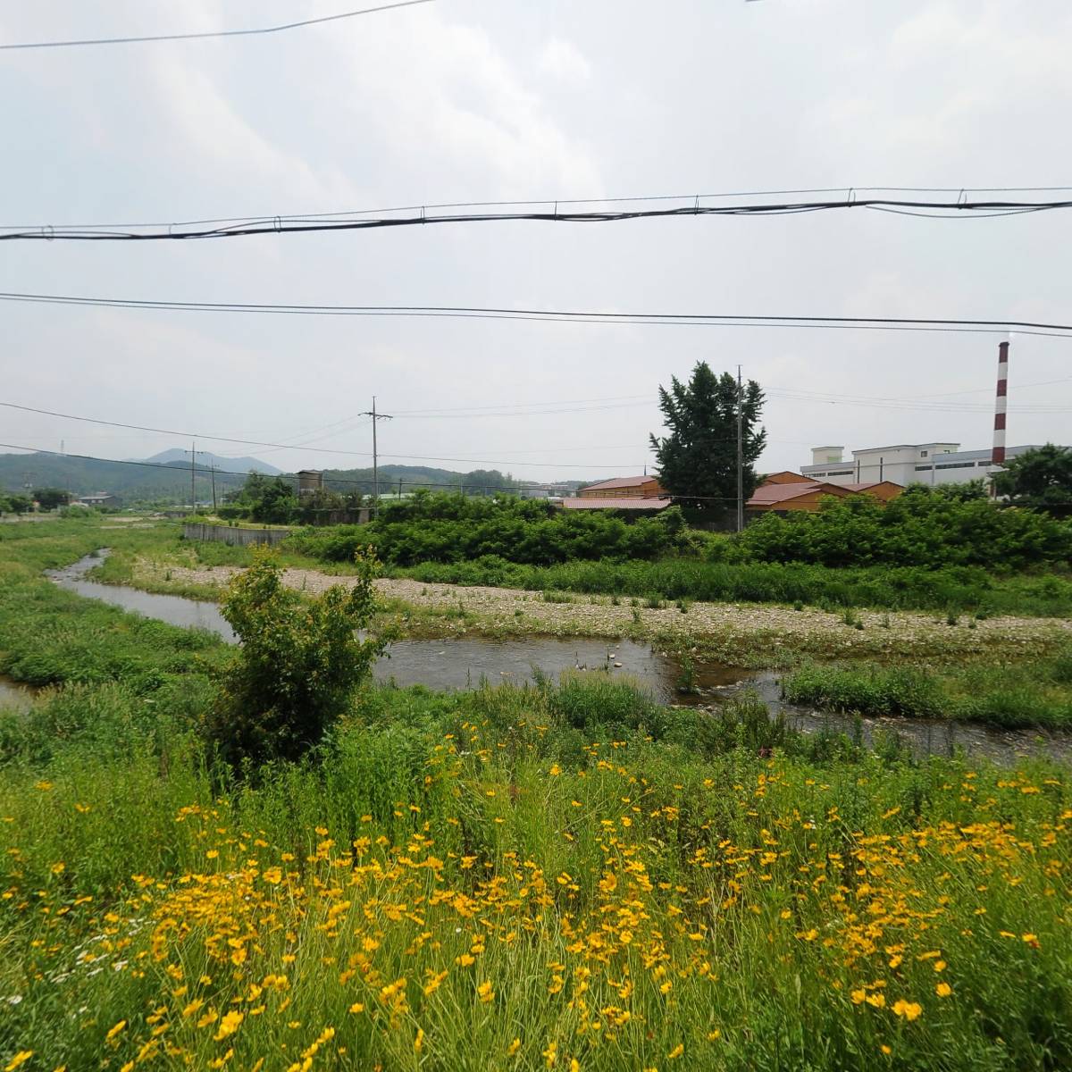 제너럴에이앰씨(주)_3