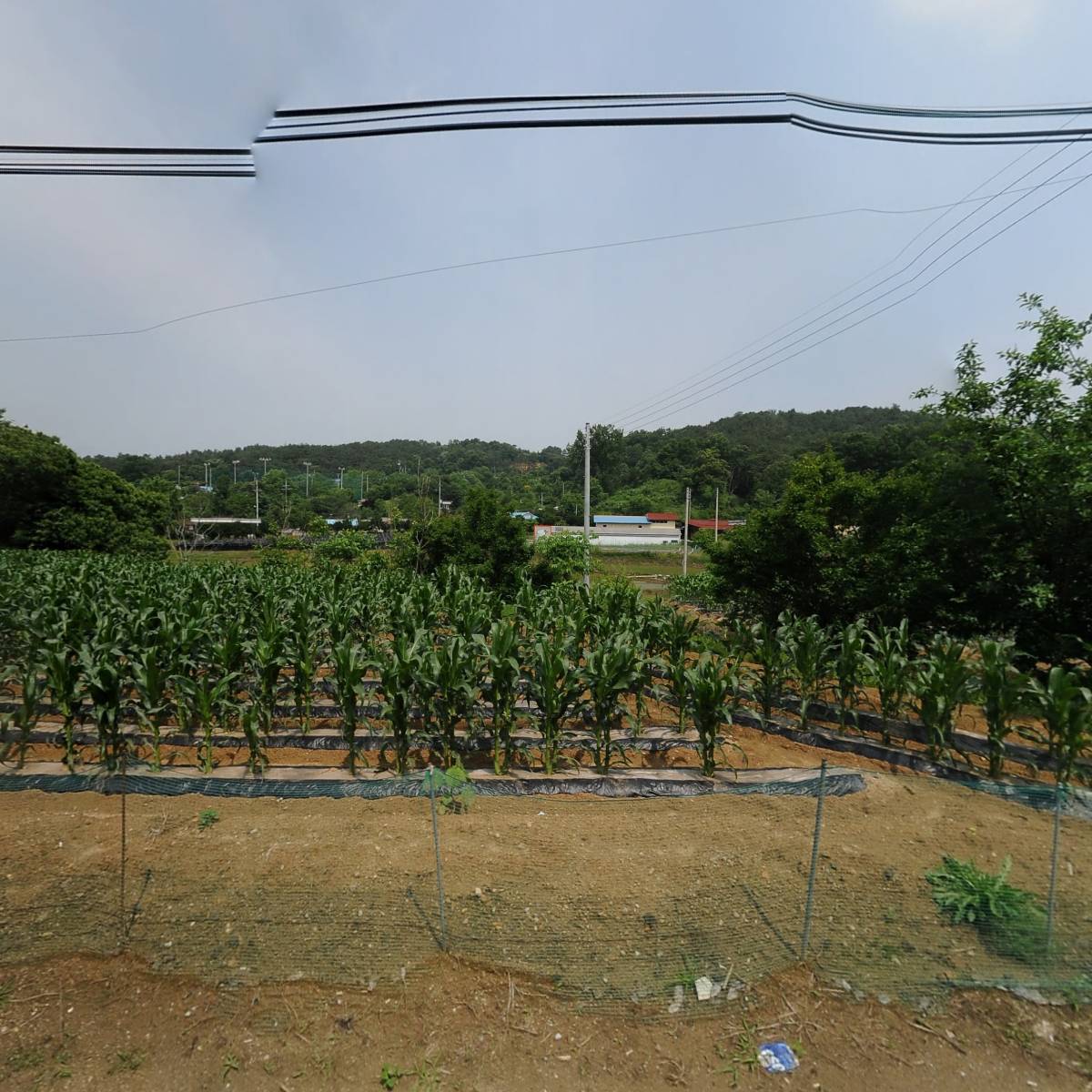 유한회사청주레이저