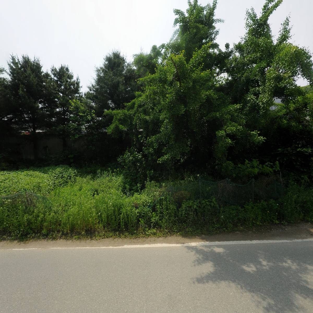 유한회사청주레이저_3