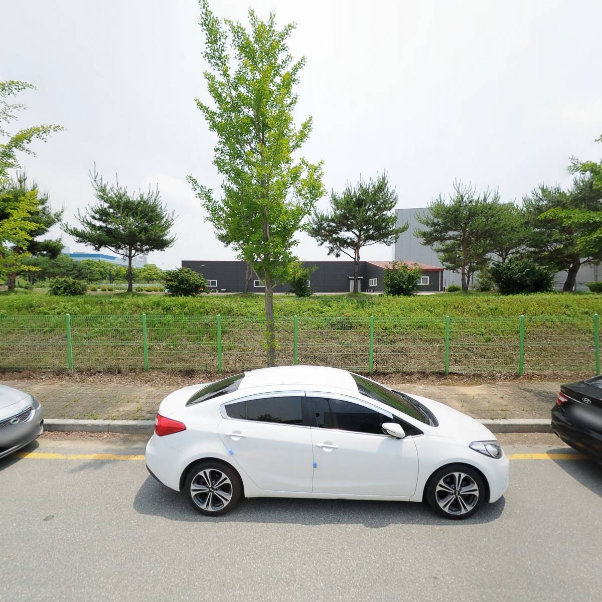 코아스템(주)