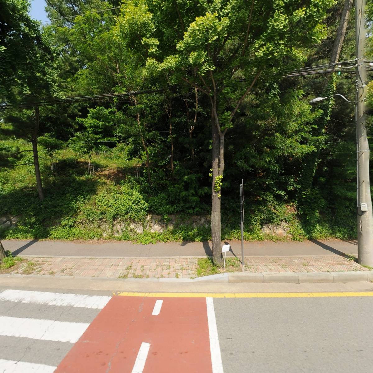 주식회사 아트피그소프트
