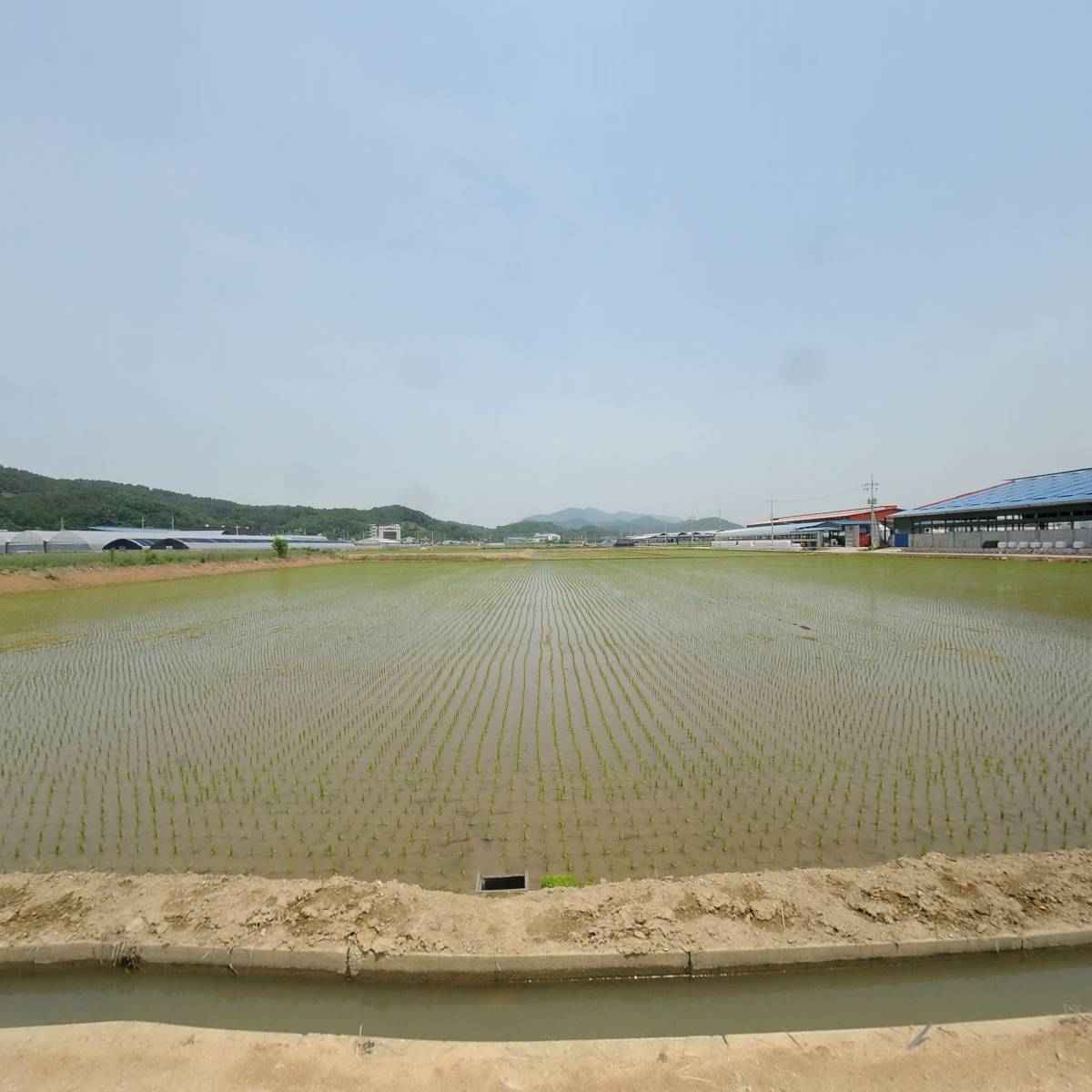 행복한 한우_3