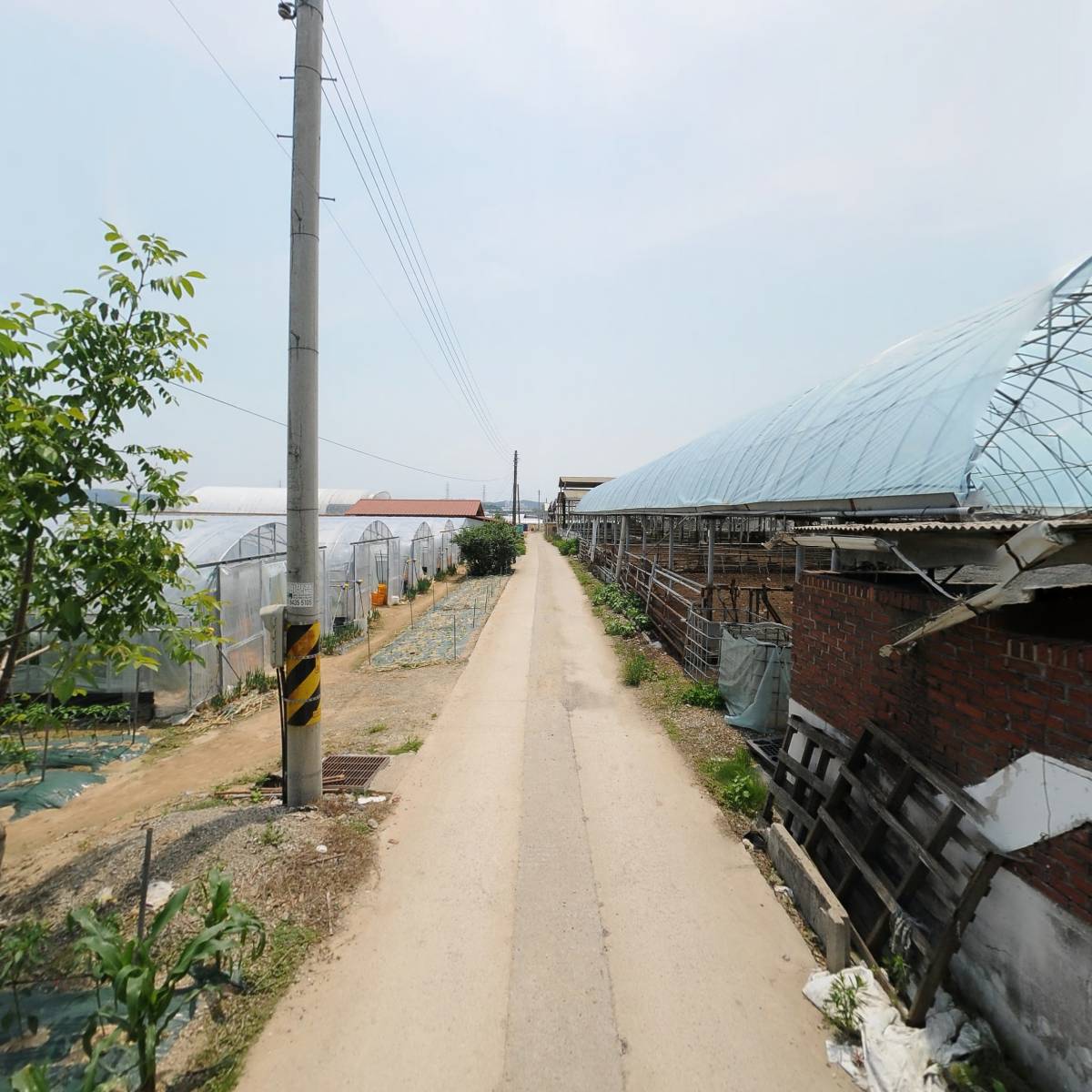 대광목장_2