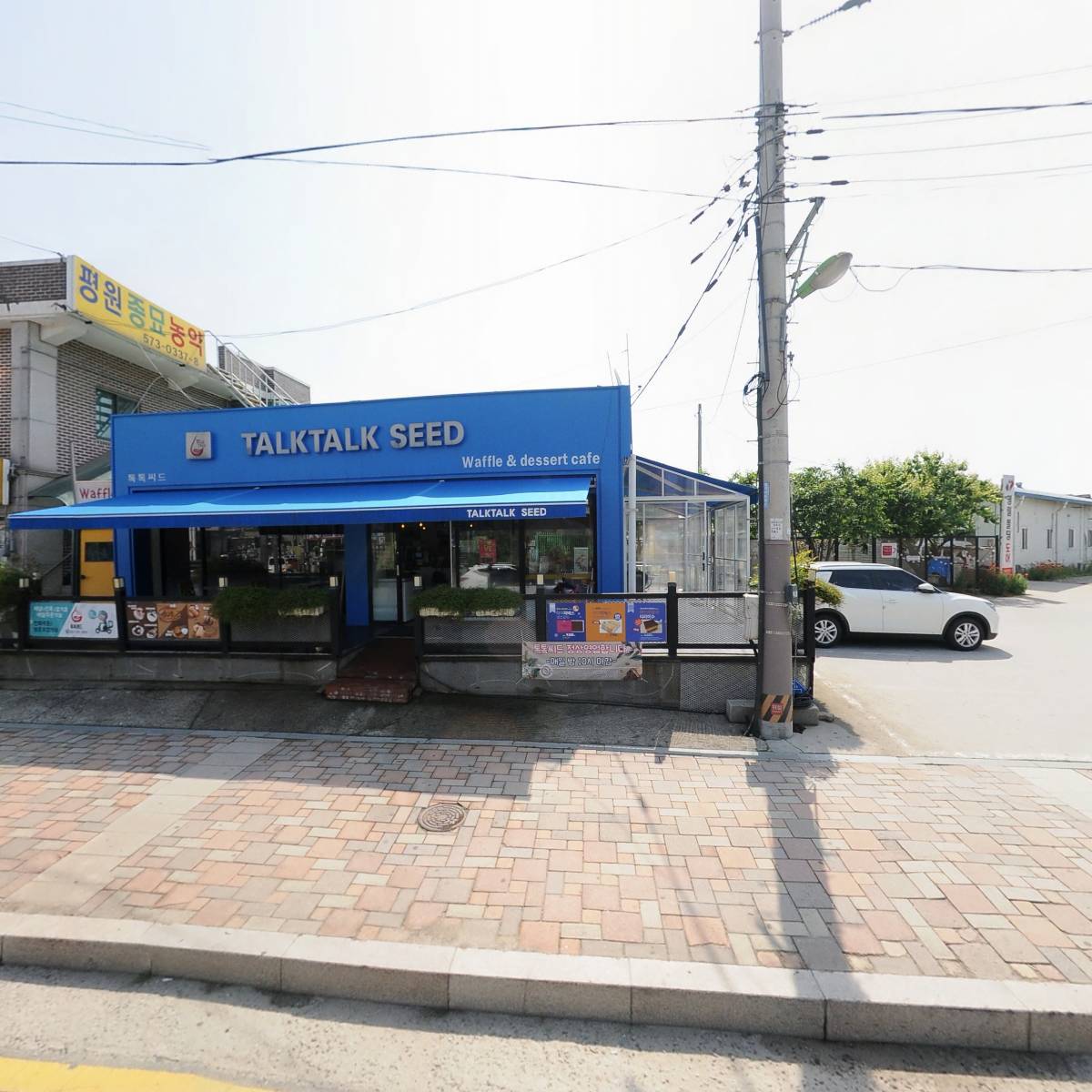 톡톡씨드