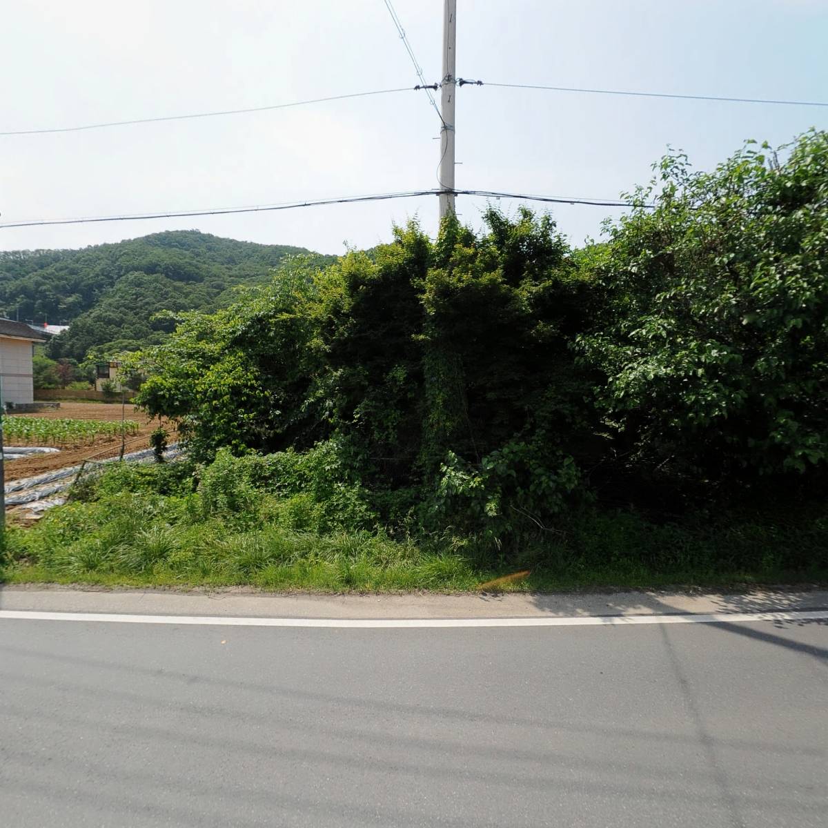 이마트24 금남리점_3