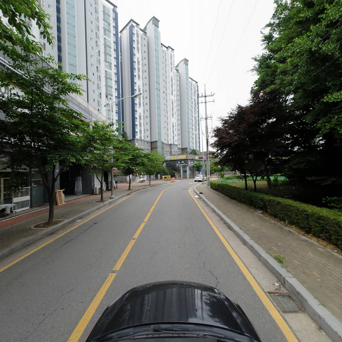 달로와_4