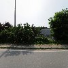 대성비철_3