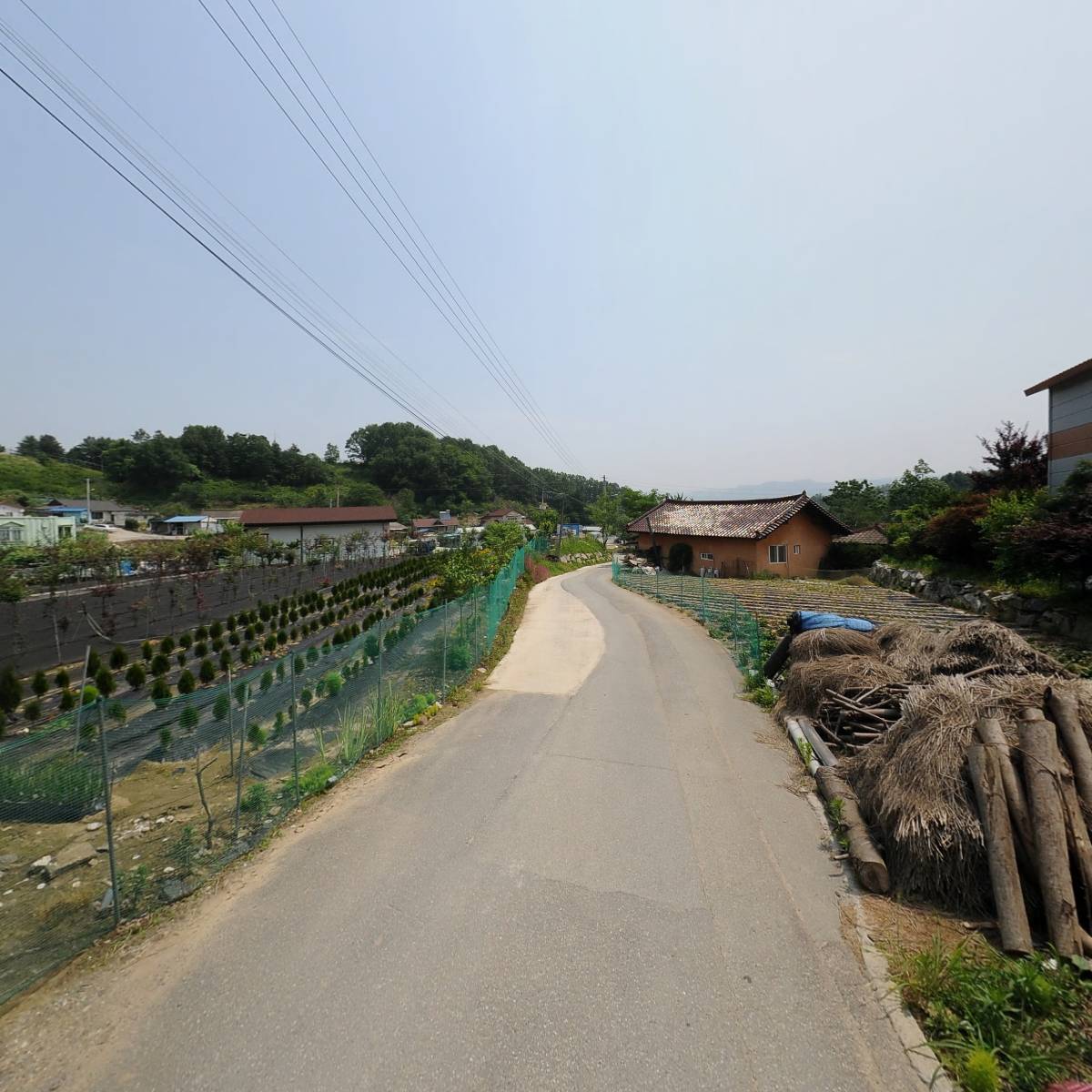 농업회사법인 주식회사 산삼의전설과향연_2