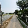 청주대청주조_2
