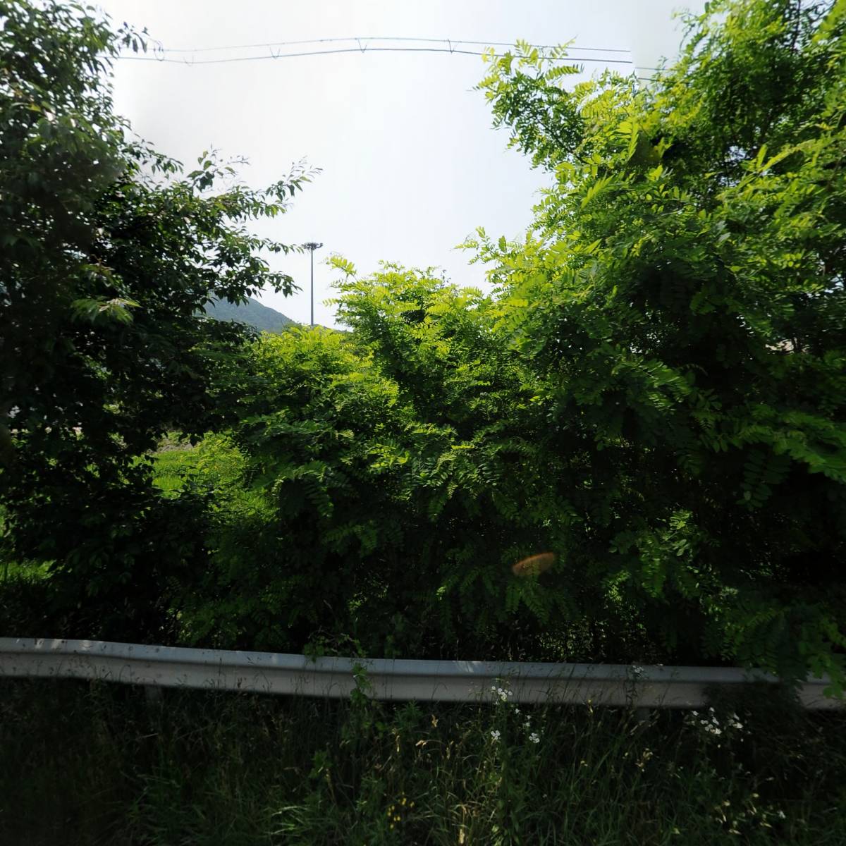 다산커머스(주)