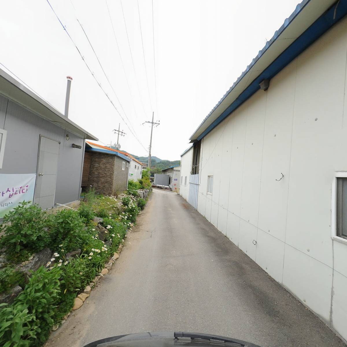 평화양행_2