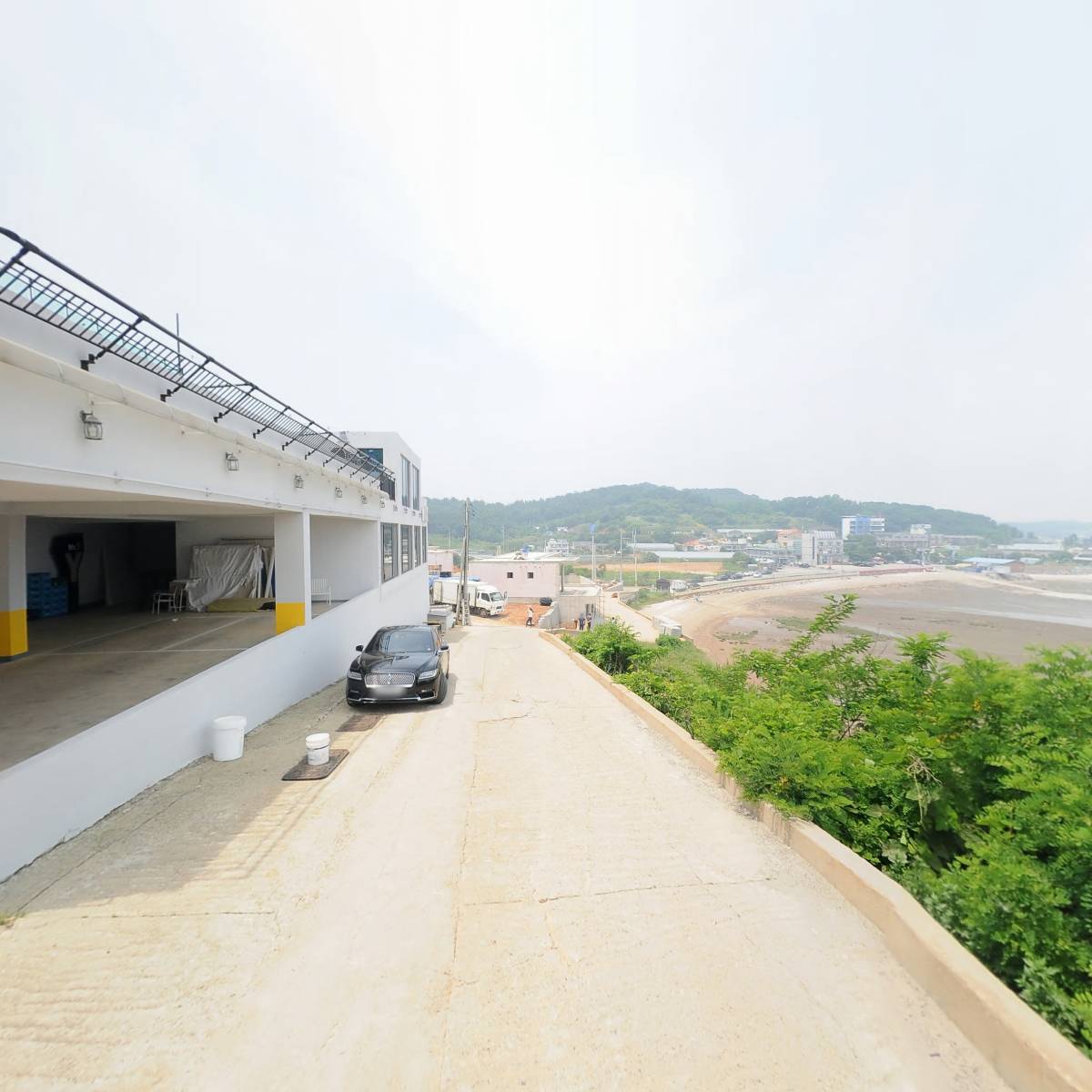 머드포레스트_2