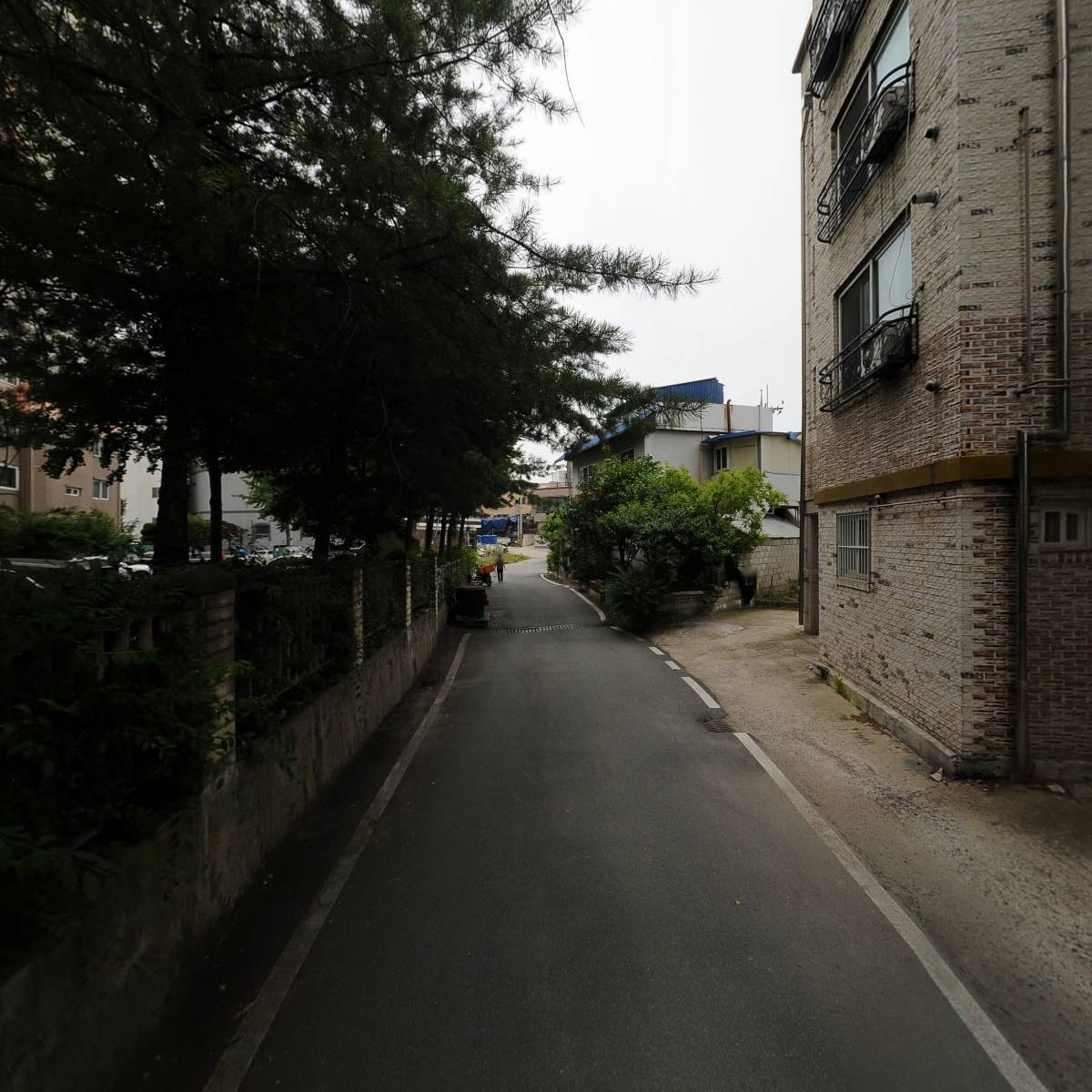 CJ패키지_2