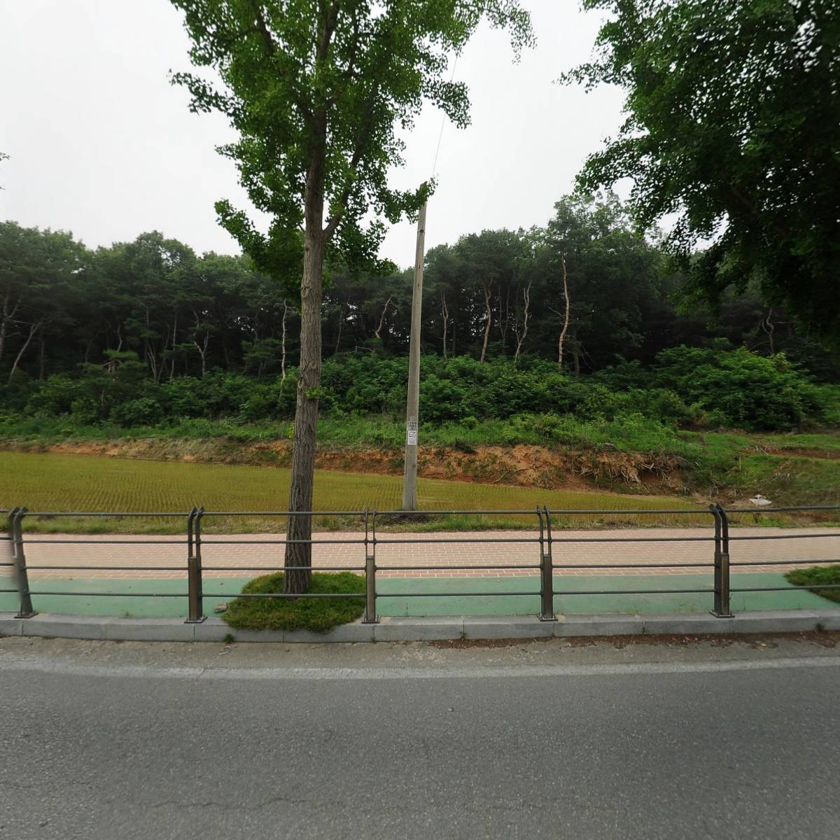 주식회사 화이트메디앙스_3