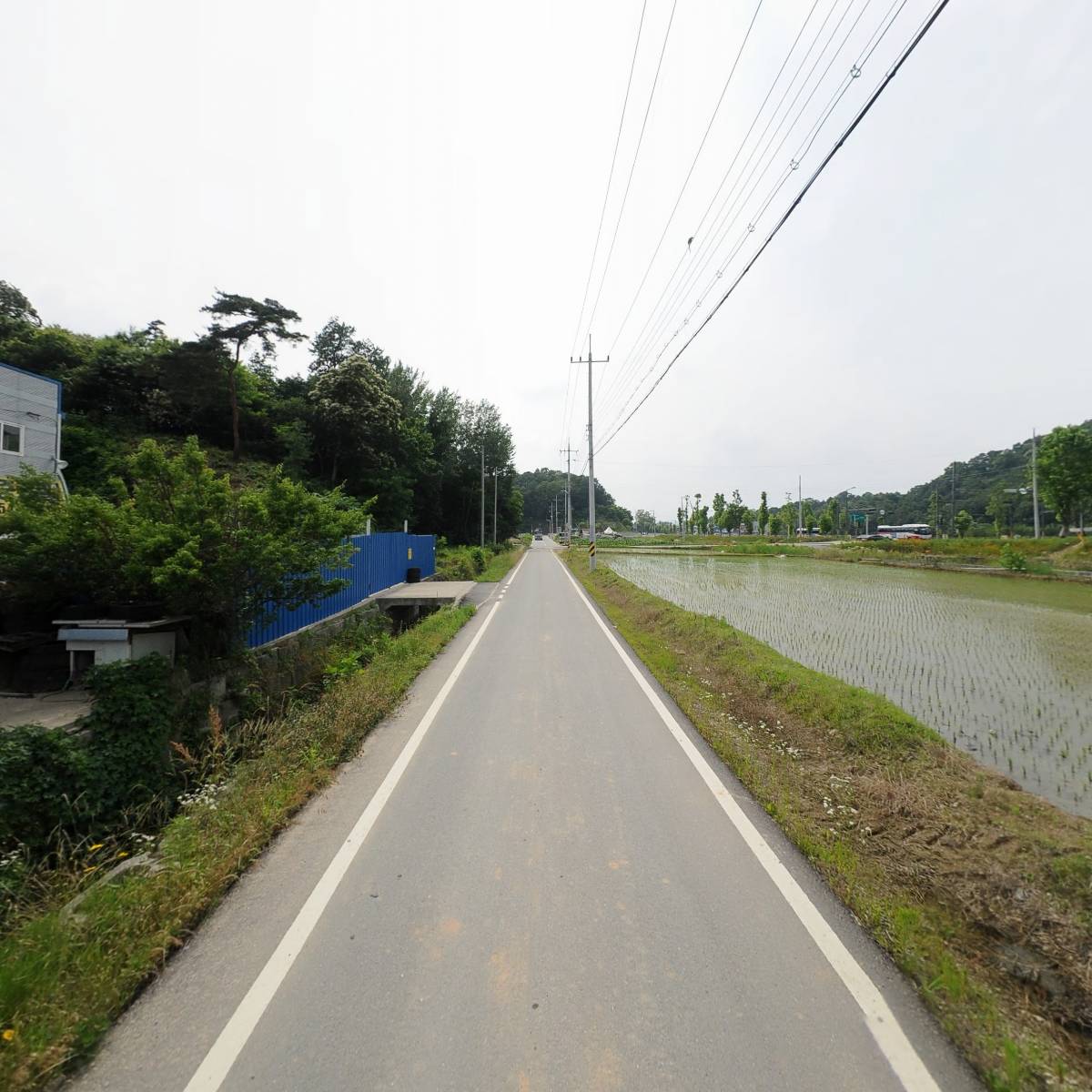 CS153렌탈_2
