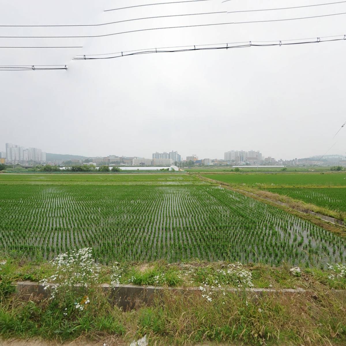 부송건업(주)