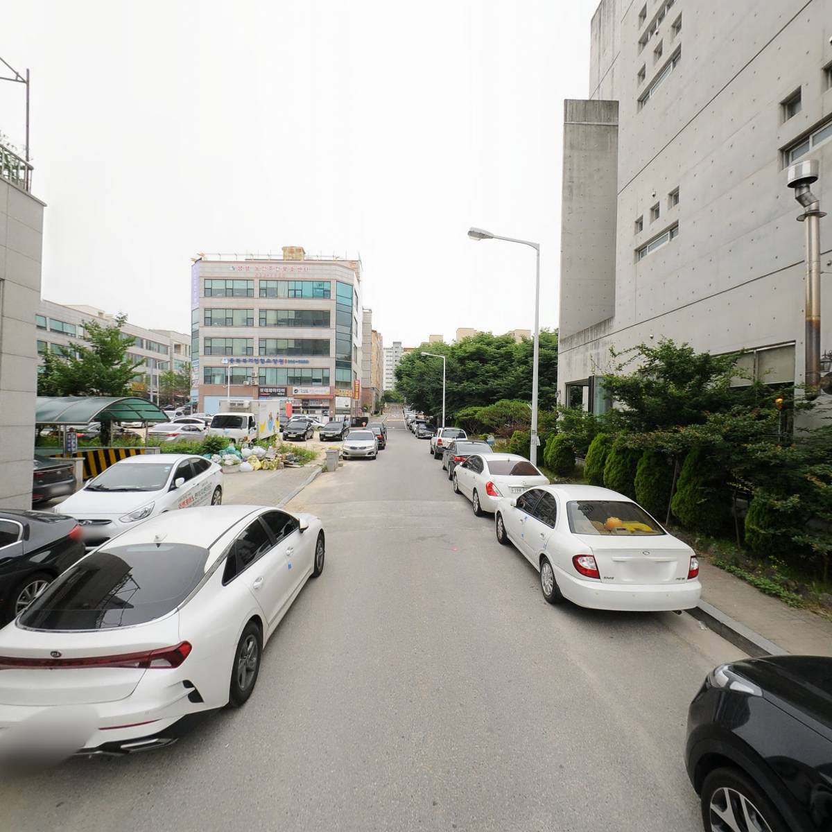 미뇽_2