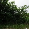 백세노인복지센터