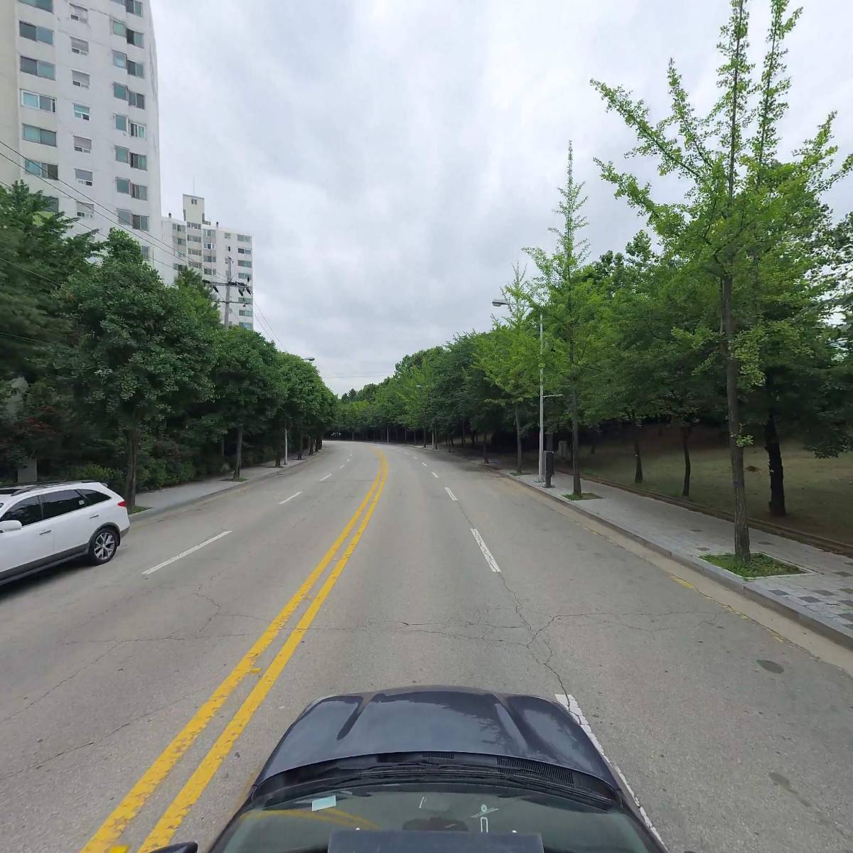 고루니크_4