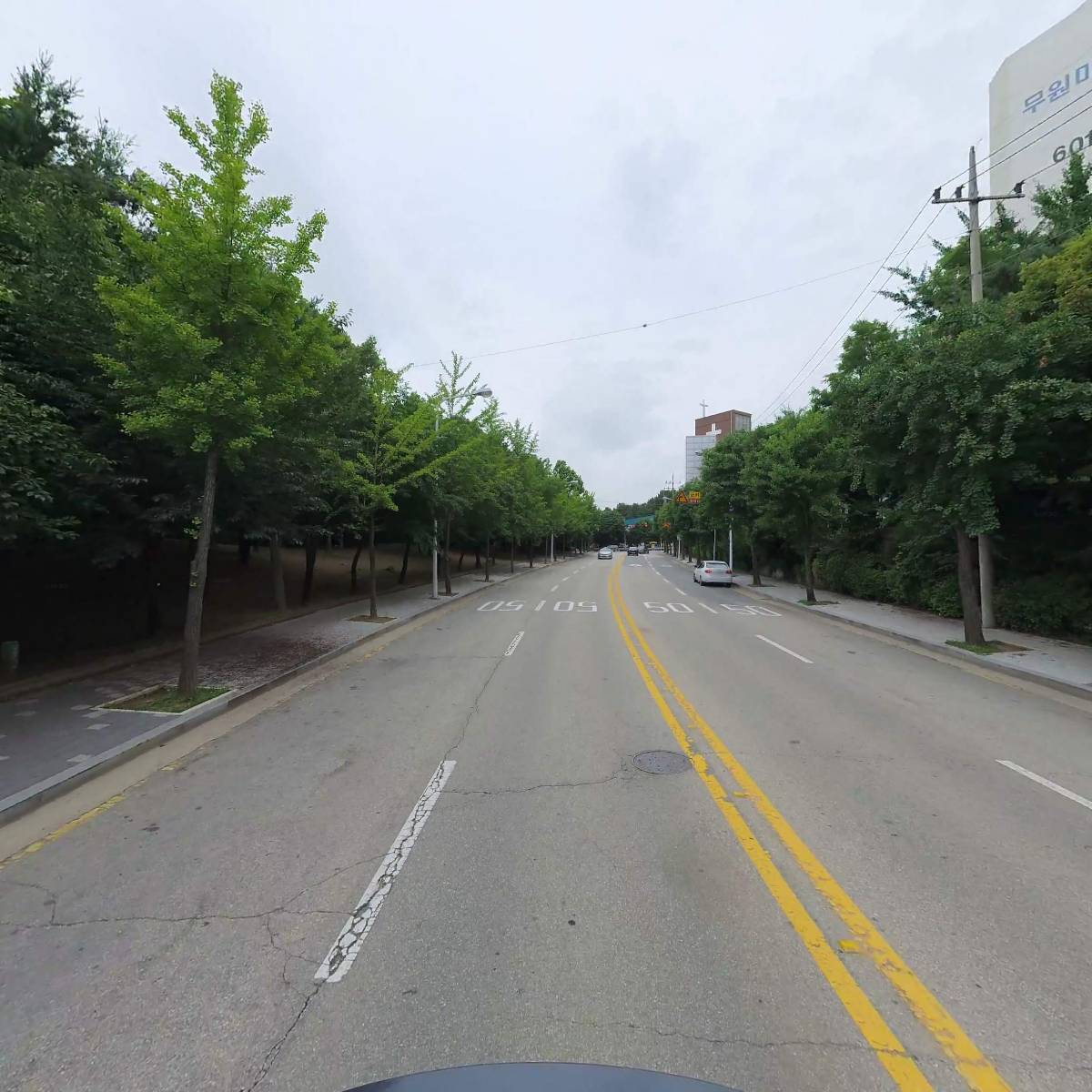 고루니크_2